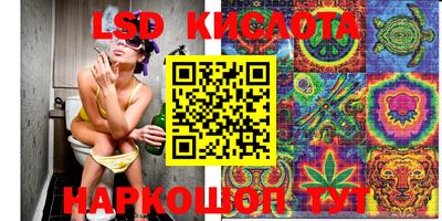 хмурый Новокубанск