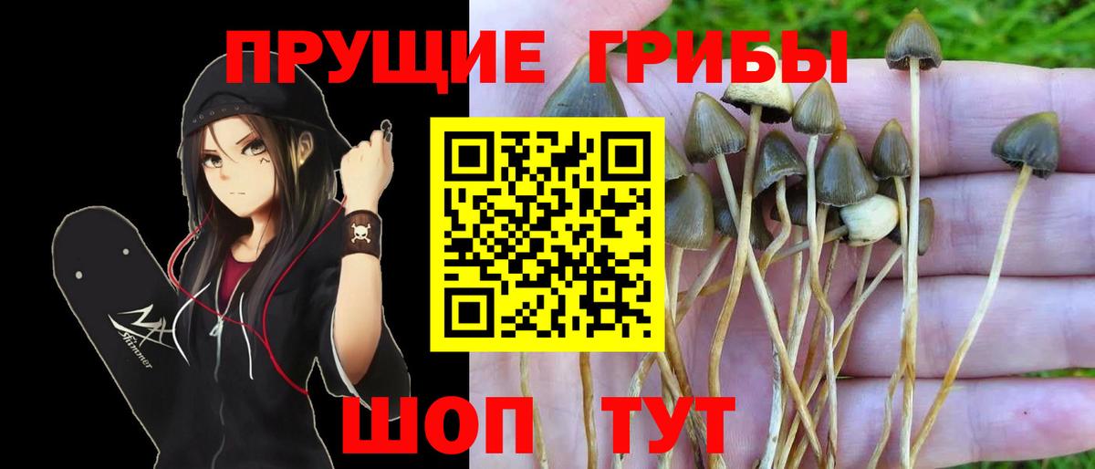 Галлюциногенные грибы мухоморы Топки